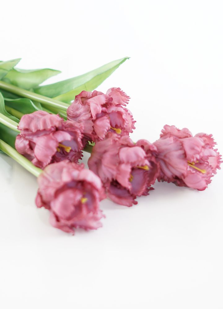 Papegaaientulp Donker Oud Roze - Afbeelding 2