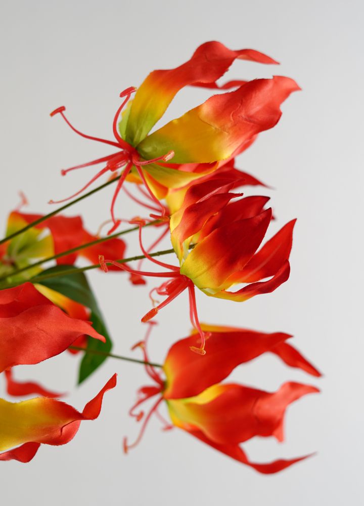sib-gloriosa-rood-detail