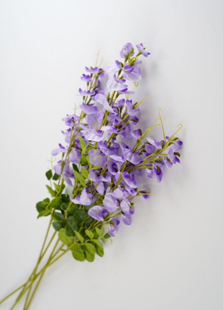 sib-lathyrus-hele-stelen-1