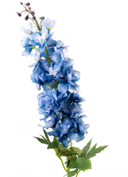 sib-delphinium-kobalt-blauw-nw