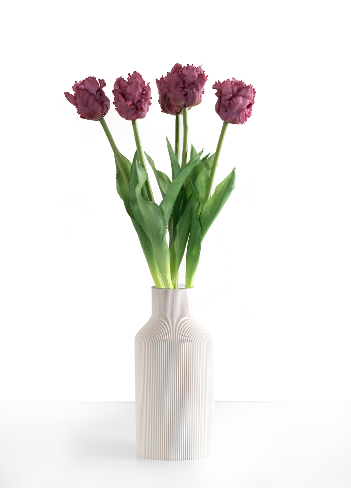 sib-parrot-tulpen-new