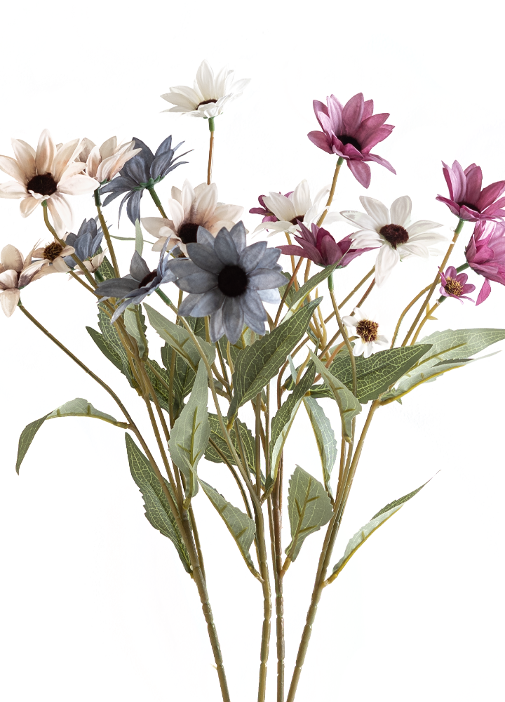 sib-echinacea-alle-kleuren-1