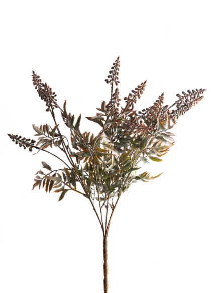 sib-bosje-lavendel-salie