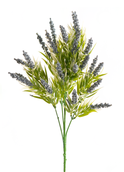 sib-bosje-oud-lavendel-blauw