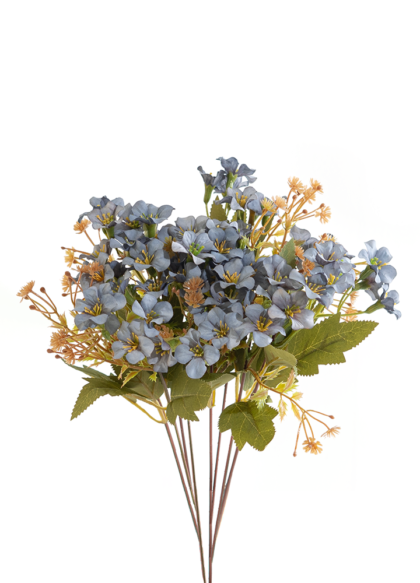 sib-hortensia-mille-fleur-blauw