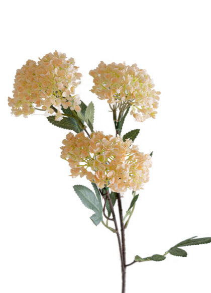 sib-hydrangea-spray-creme