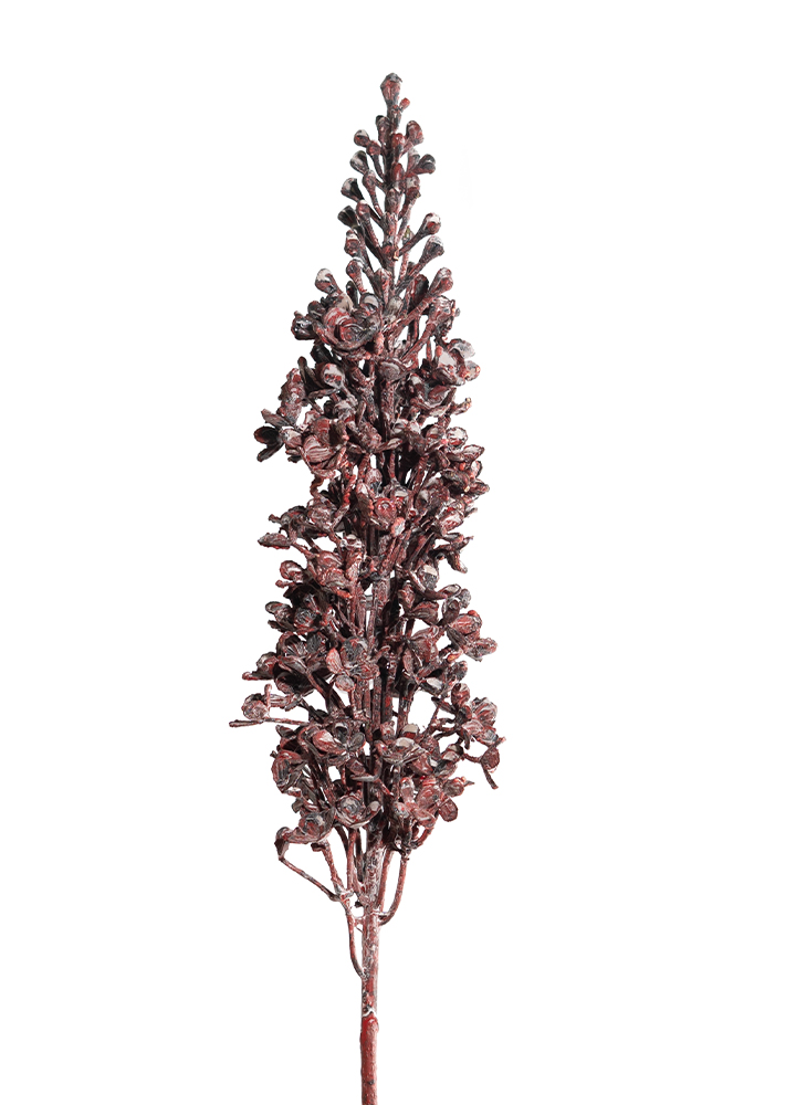 sib-viburnum-donkkerrood