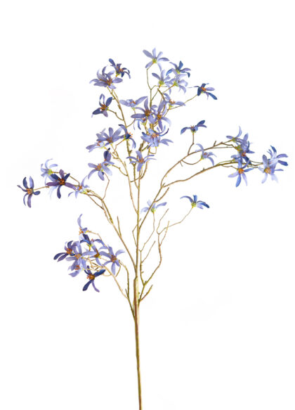 sib-stermagnolia-blauw
