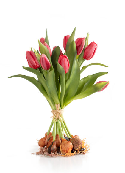 sib-real-touch-tulpenschoof-red