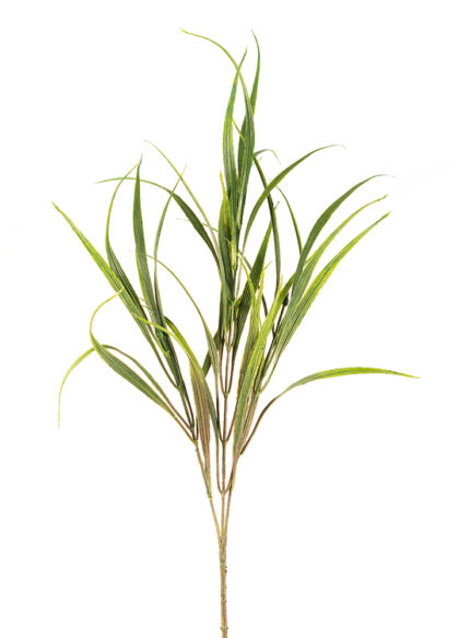 sib-rivier-grass-nw
