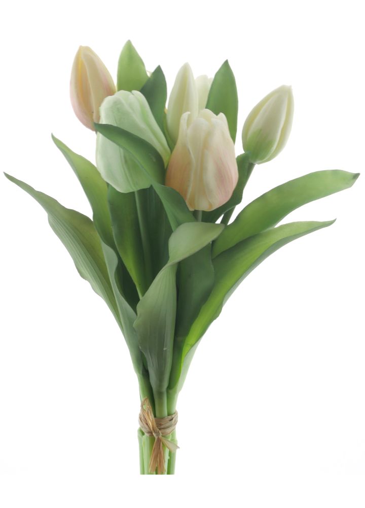 sib-vermeer-tulp-geel-groen