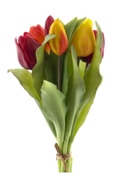 sib-vermeer-tulp-rood-oranje