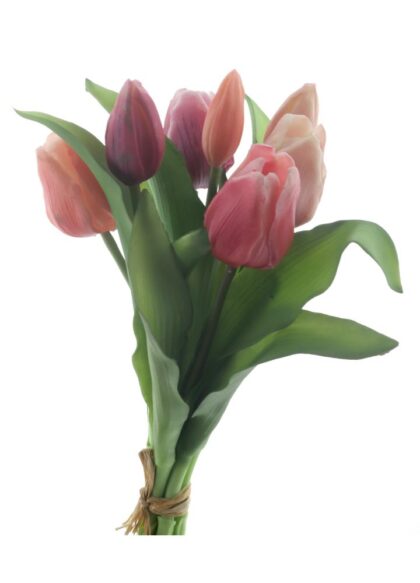 sib-vermeer-tulp-rood-roze
