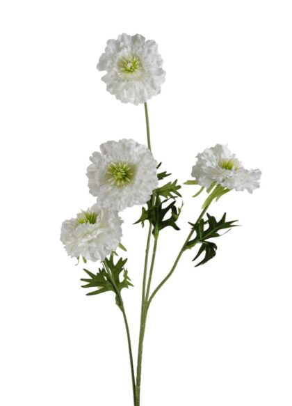 chrysant-wit