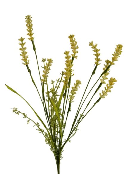wildgras-geel