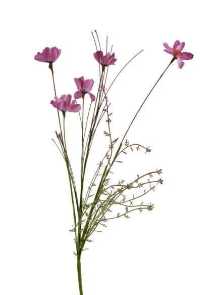 wilde-bloem-roze