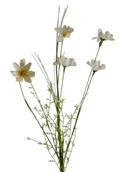wilde-bloem-wit