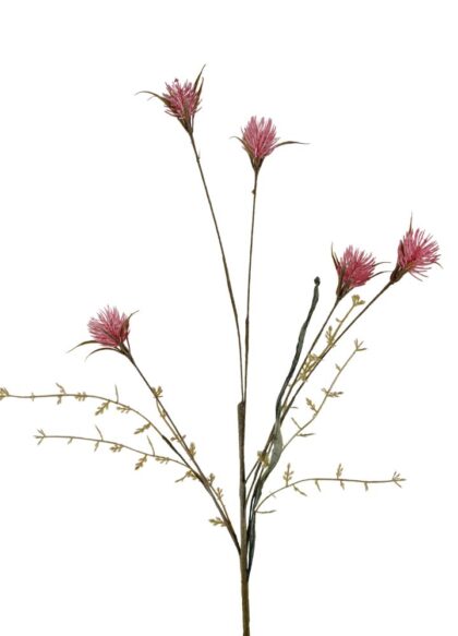 wilde-distel-roze
