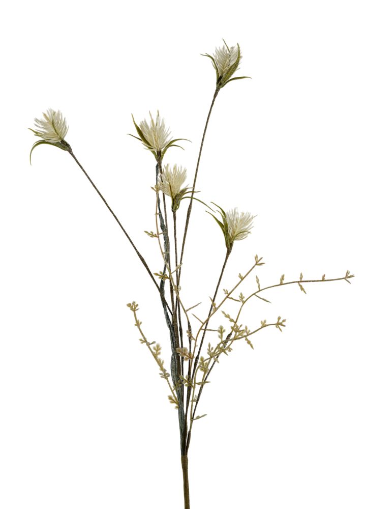 wilde-distel-creme