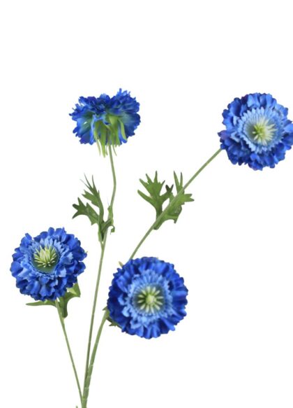 chrysant-diepblauw