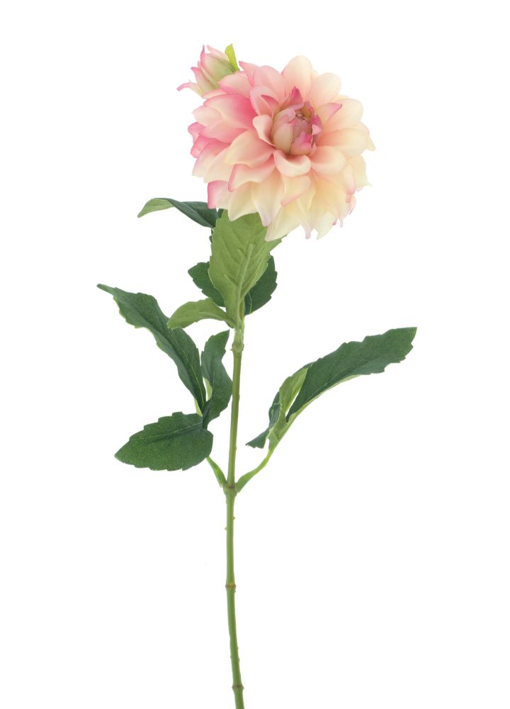 mini-dahlia-spray-zachtroze
