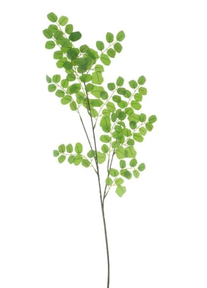 button-leaf-spray