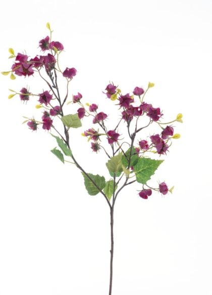 mini-physalis-rood
