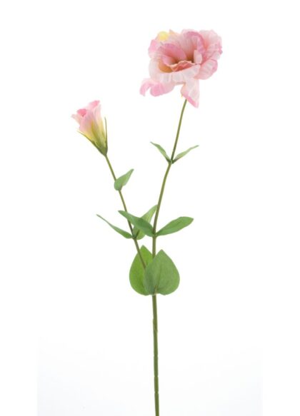 lisianthus-roze