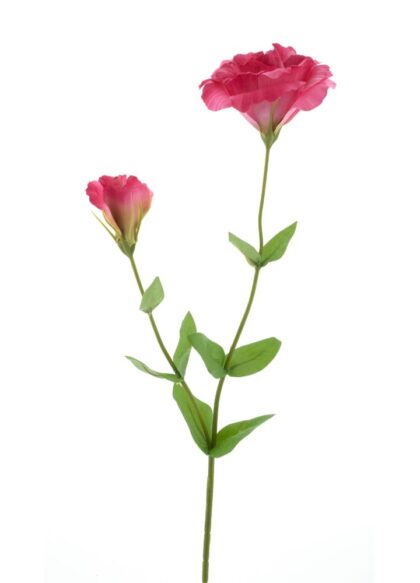 lisianthus-diep-roze