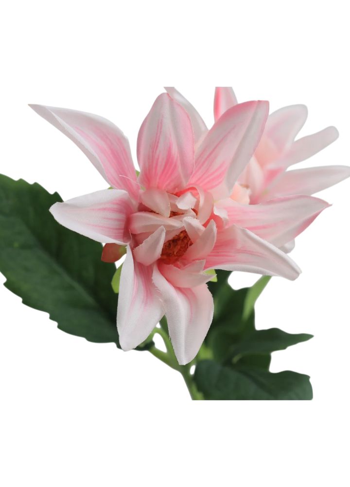 dahlia-spray-roze-1