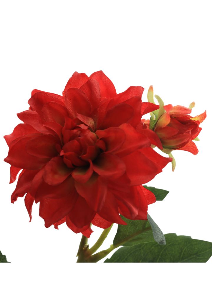 mini-dahlia-spray-rood-1