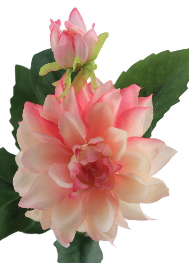 mini-dahlia-spray-zachtroze