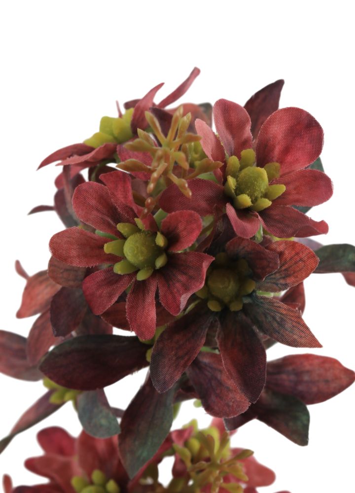 wilde-kamille-burgundy-1