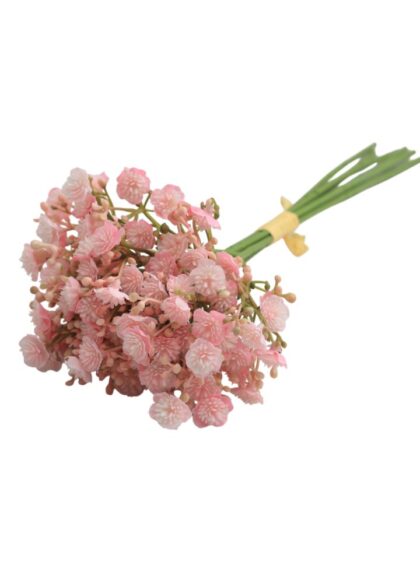 gipskruid-roze