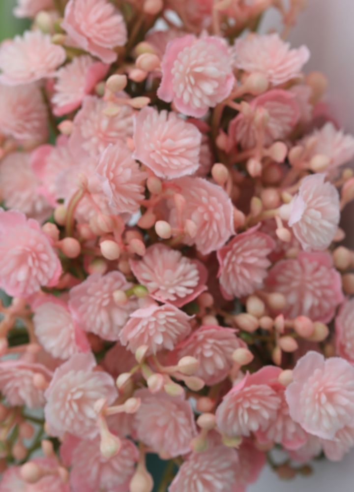 gipskruid-roze-1