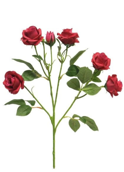 roos-jacqueling-diep-roze