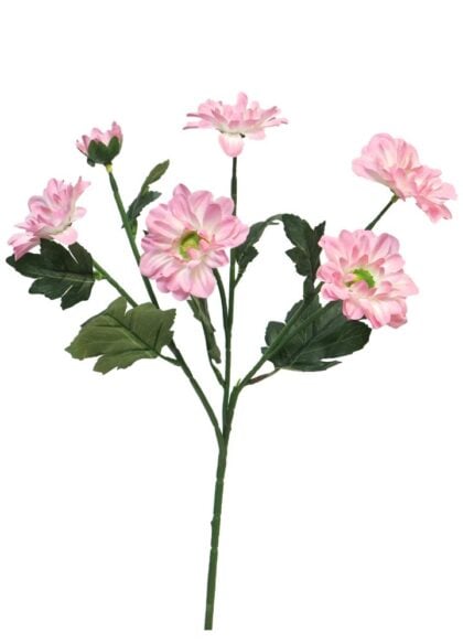 westland-chrysant-roze
