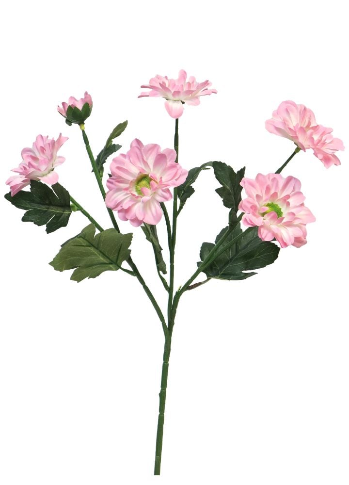westland-chrysant-roze