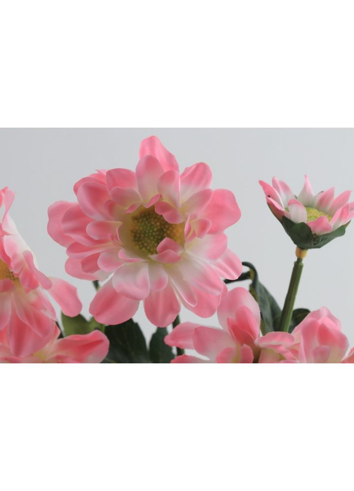 Westland Chrysant Roze - Afbeelding 2