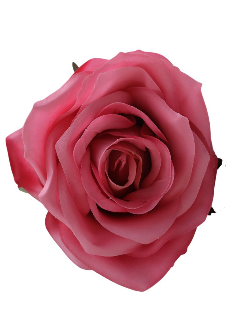 Dyon Roos diep Roze - Afbeelding 2