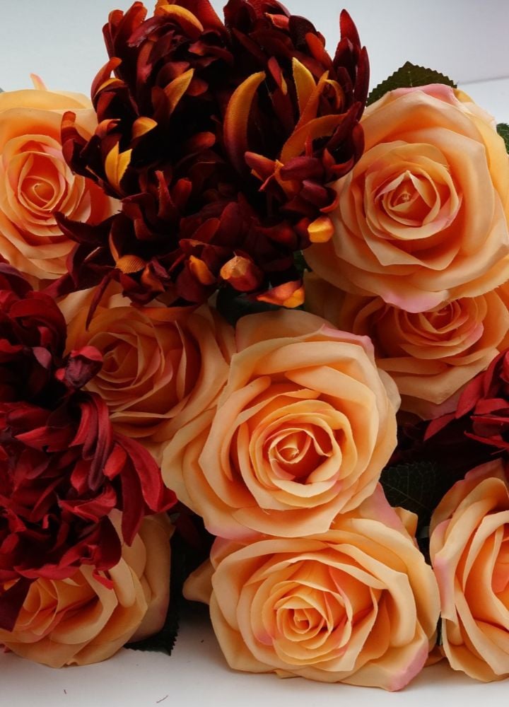 dyon-roos-peach-2