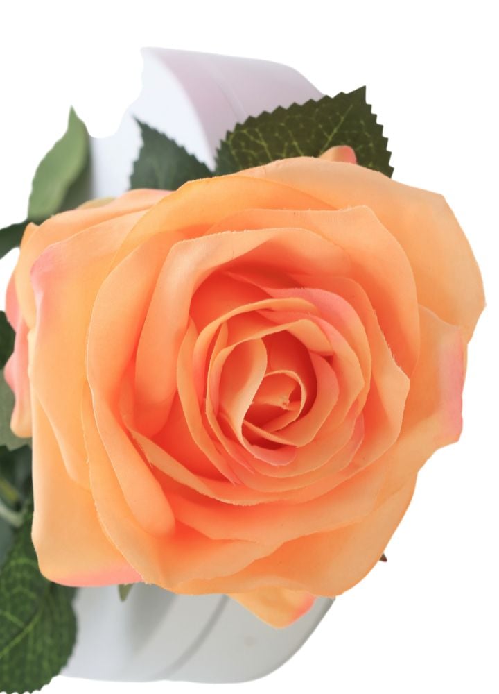 Dyon Roos Peach - Afbeelding 2