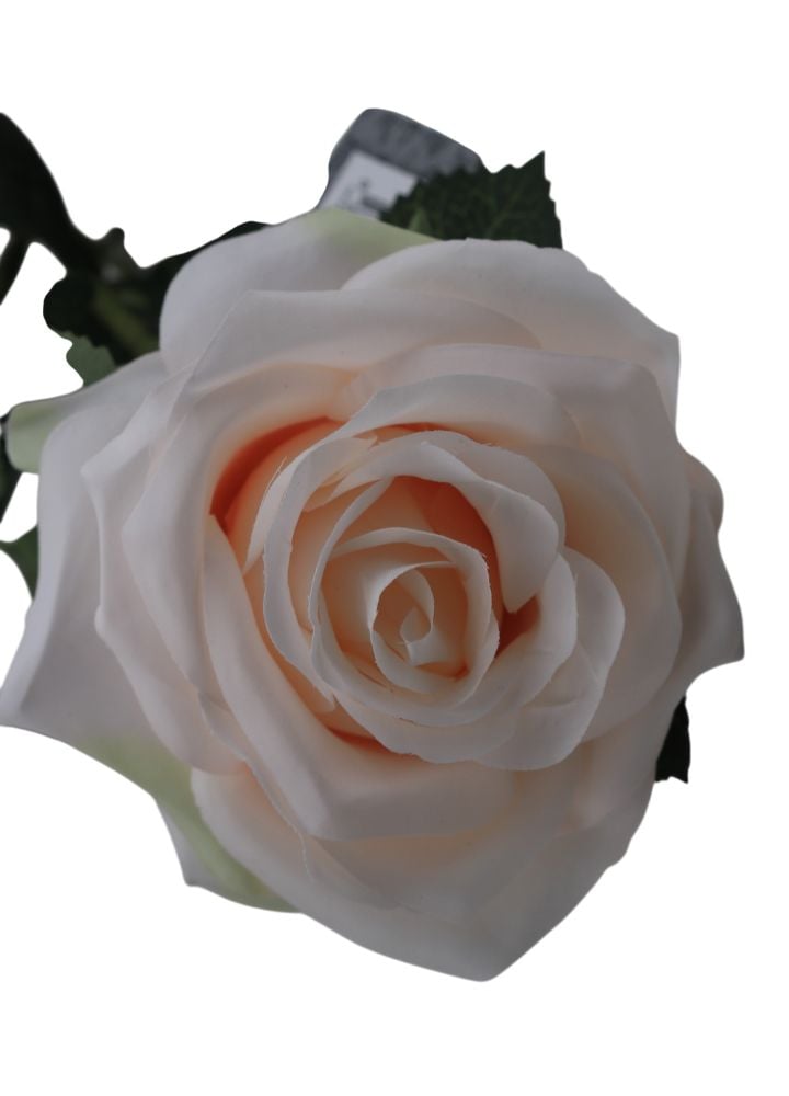 roos-jacquelline-cream-1