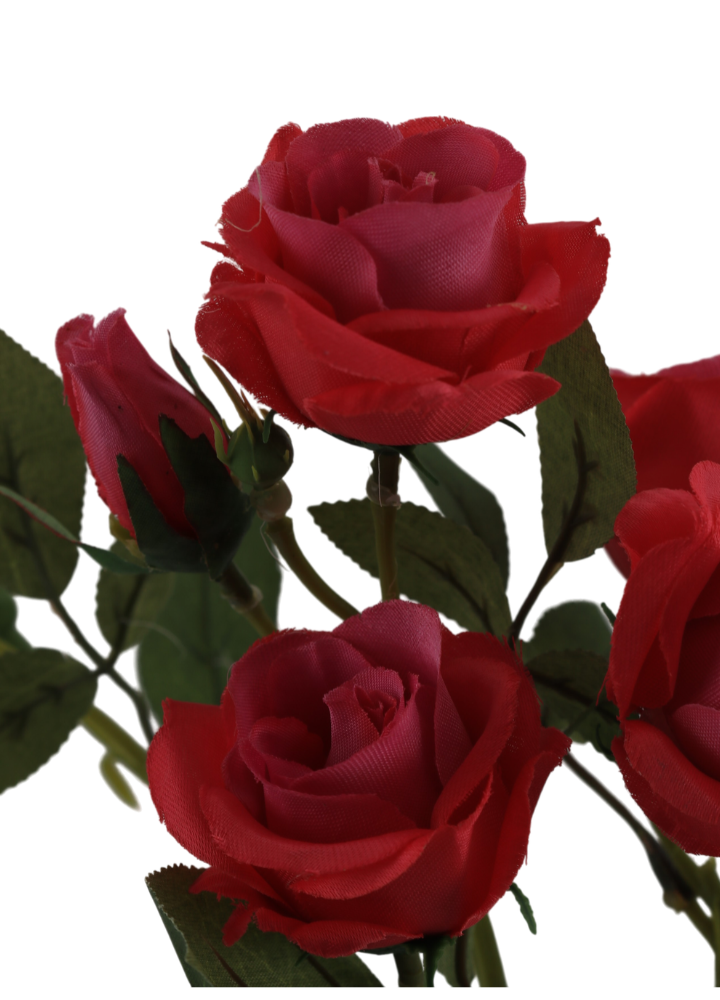 roos-jacqueline-diep-roze-1